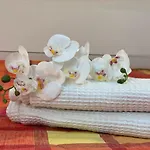 Apartamento Casa Renato